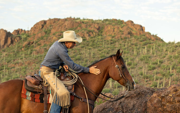 Man on horseback in desert